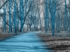 7_Beqiri_Hoch_Übung1_Grafik6_Wald