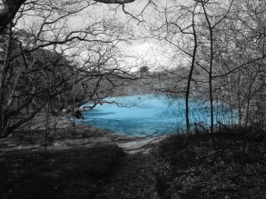 9_Beqiri_Hoch_Übung1_Grafik8_Lichtungen