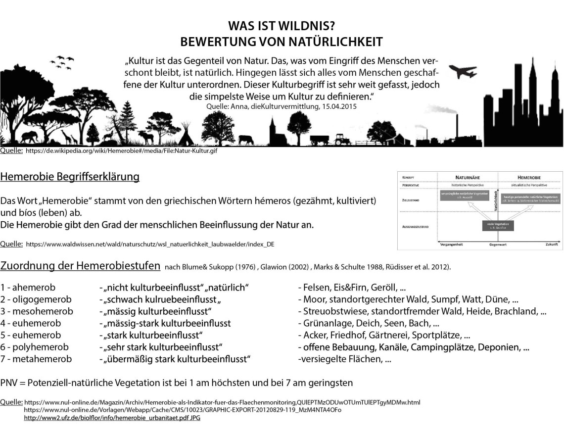 Bock_Neitzel_Übung2_Bild1