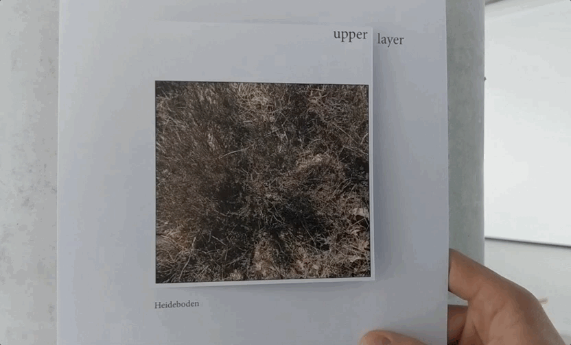 Holzinger_Rosenow_Übung2_BODEN