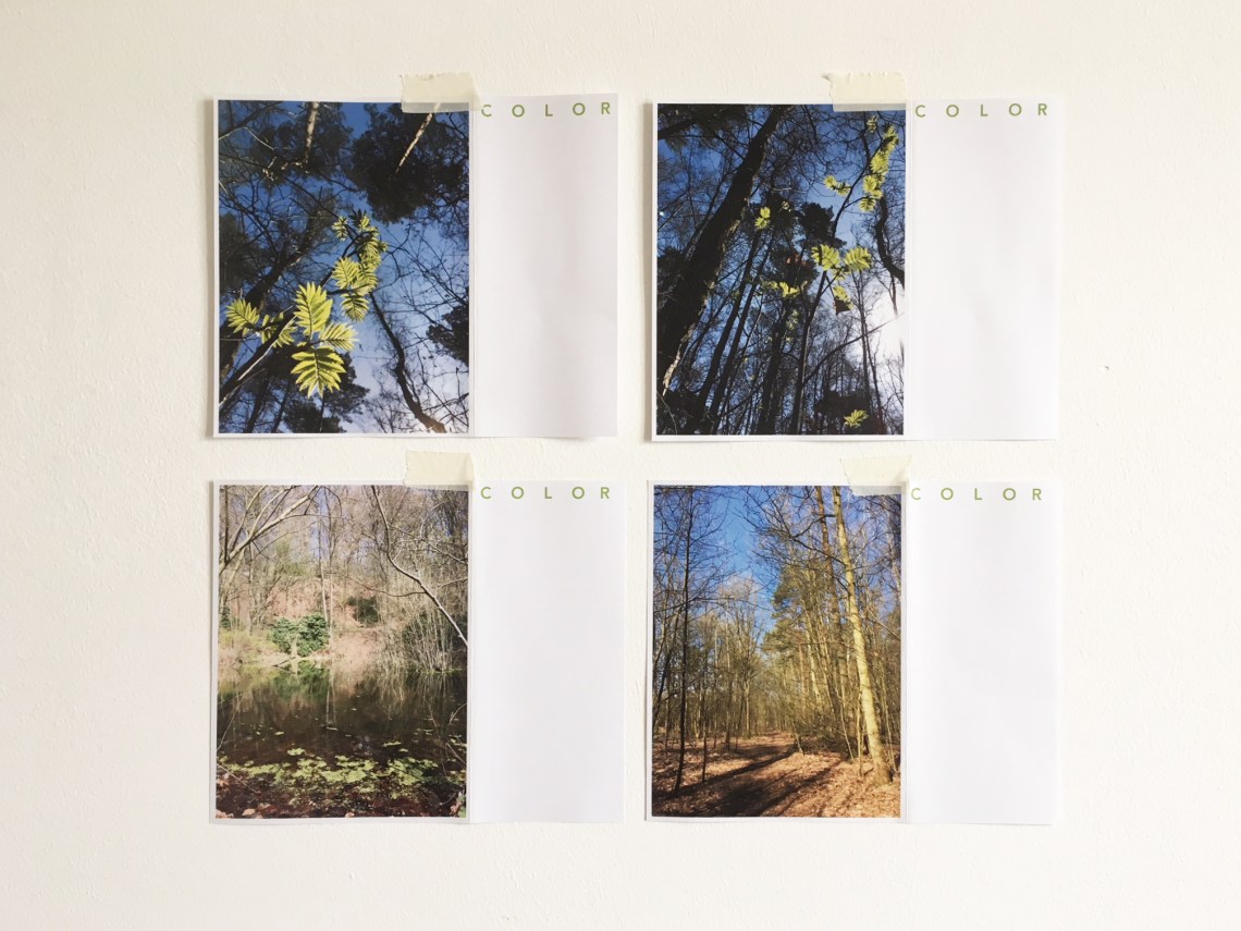 Nicolescu_Andra_Ubung1_Grafik1