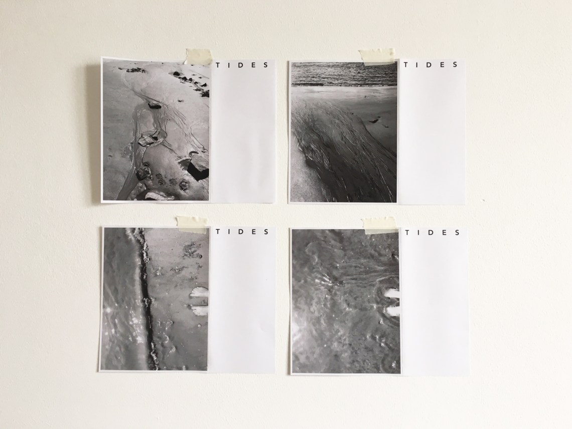 Nicolescu_Andra_Ubung1_Grafik2