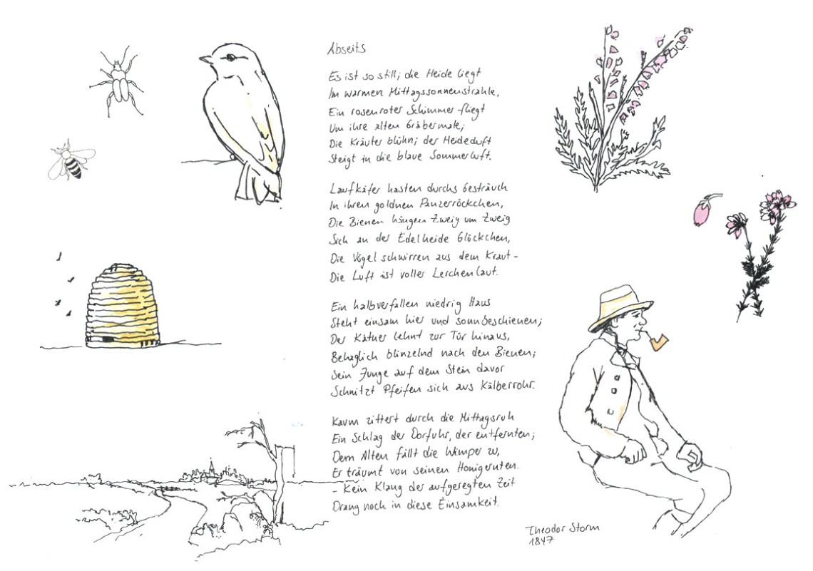 Reimer_Schmidhuber_Übung2_Grafik1_