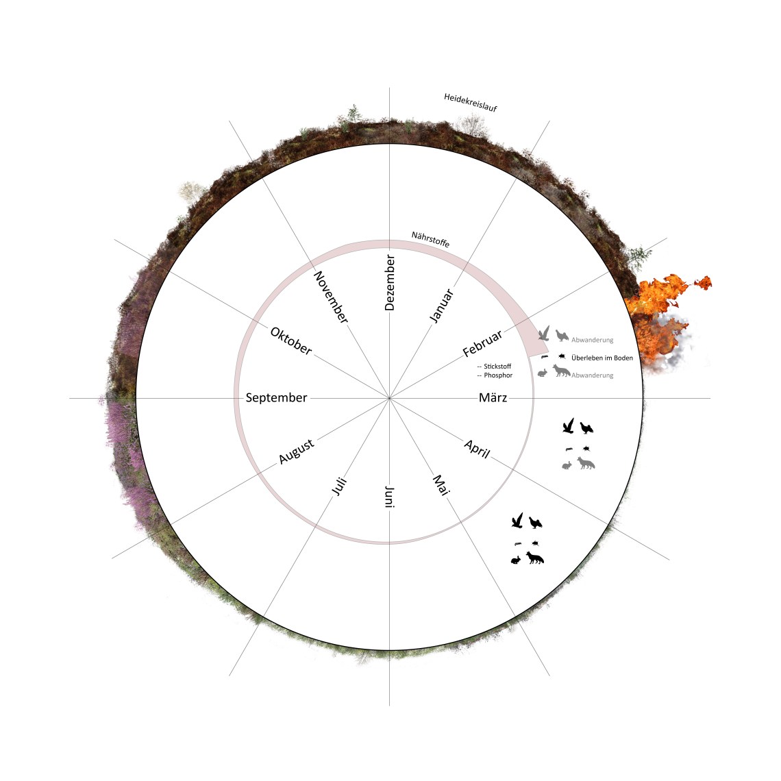 4_Beqiri_Borutta_Hoch_Schmidhuber_Übung3_Grafik2_Kreisel