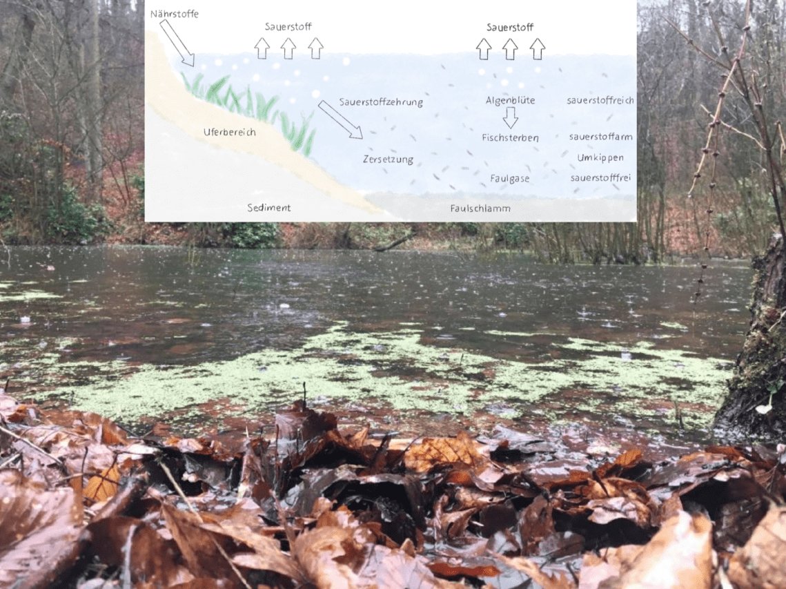 Bildschirmfoto 2018-06-20 um 16.05.49