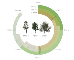 Diagram_Bäume