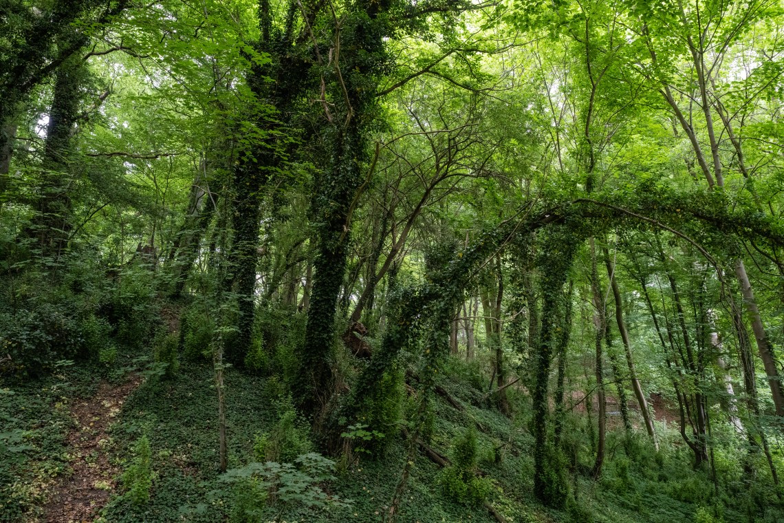 Hahn_Morel_Nosov_Stoklosa_Übung3_Titelbild 2