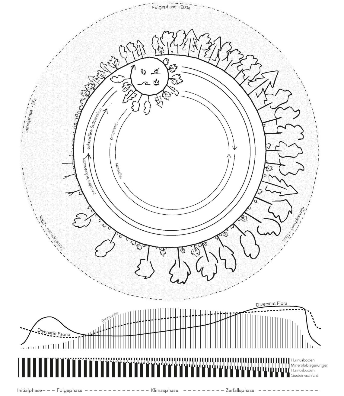 Holzinger_Rosenow_Allard_Bild_Seite_1