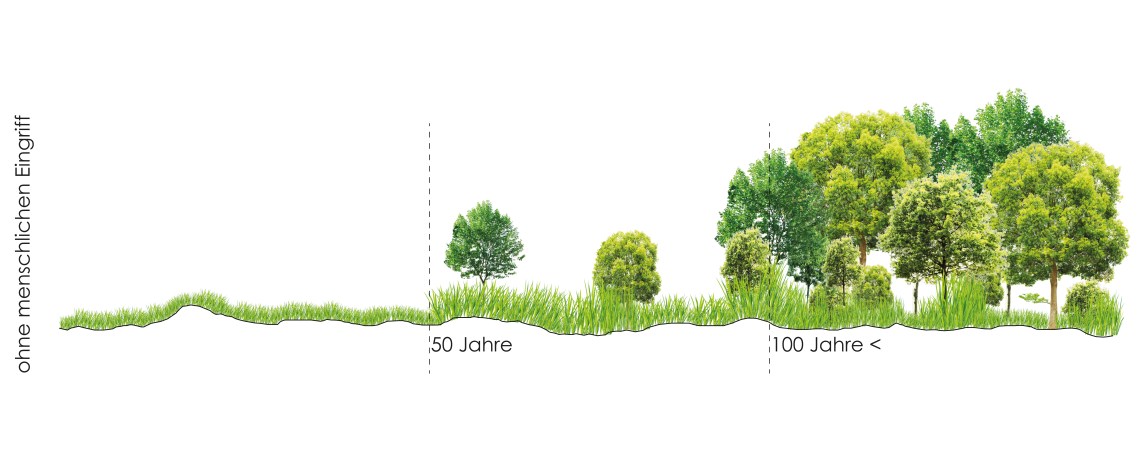 Jouan_Girault_Meincke_Oldörp_Übung3_Bild1