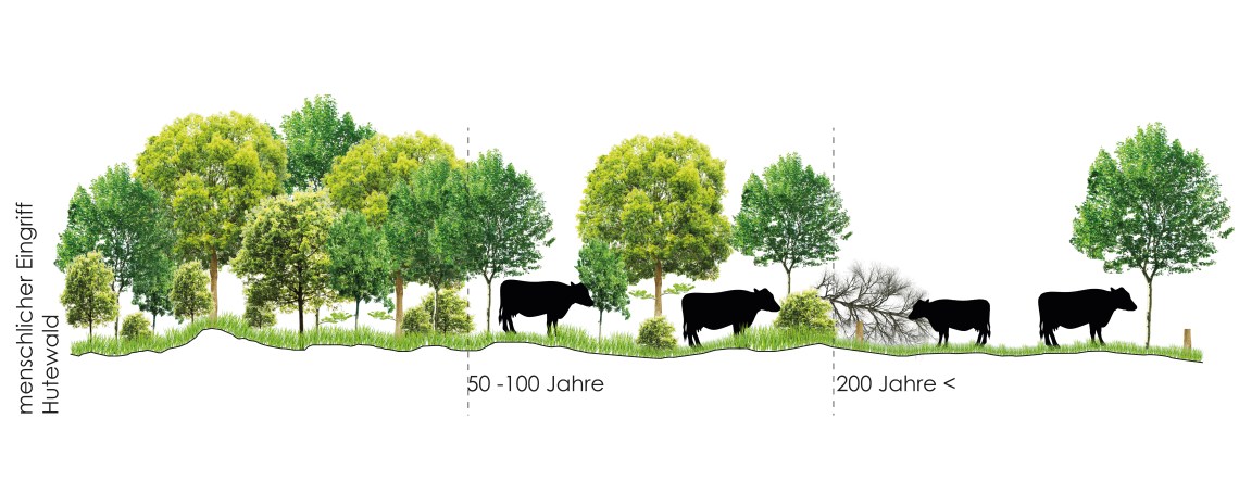 Jouan_Girault_Meincke_Oldörp_Übung3_Bild2