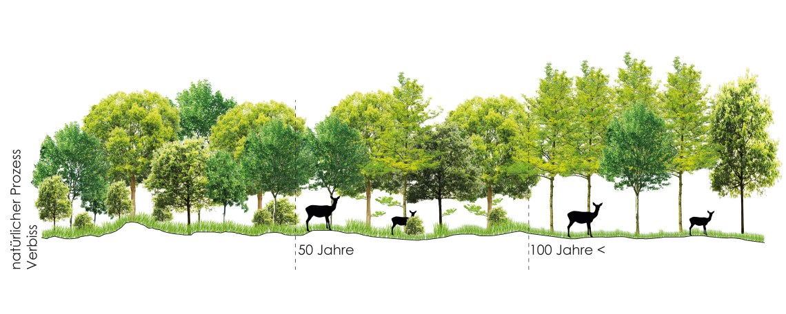 Jouan_Girault_Meincke_Oldörp_Übung3_Bild4