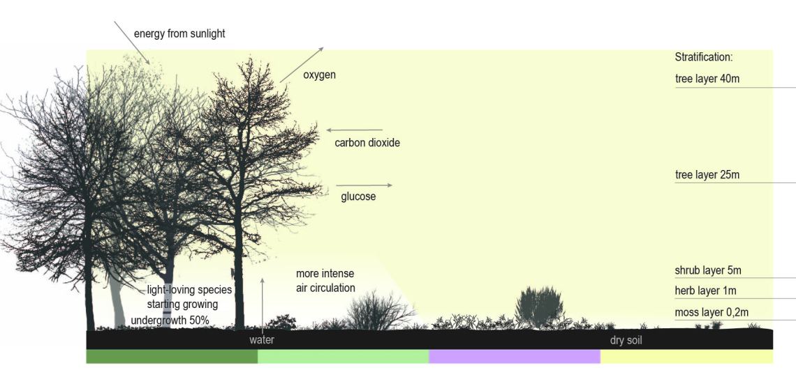 Neitzel_Reimer_Santos_Übung 3_Grafik 4