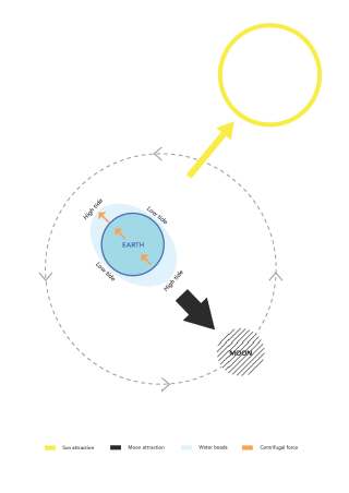 Übung 3 - Tides diagrams - Iuilia Miclea, Margaux Monzée, Andra Nicolescu_Seite_02
