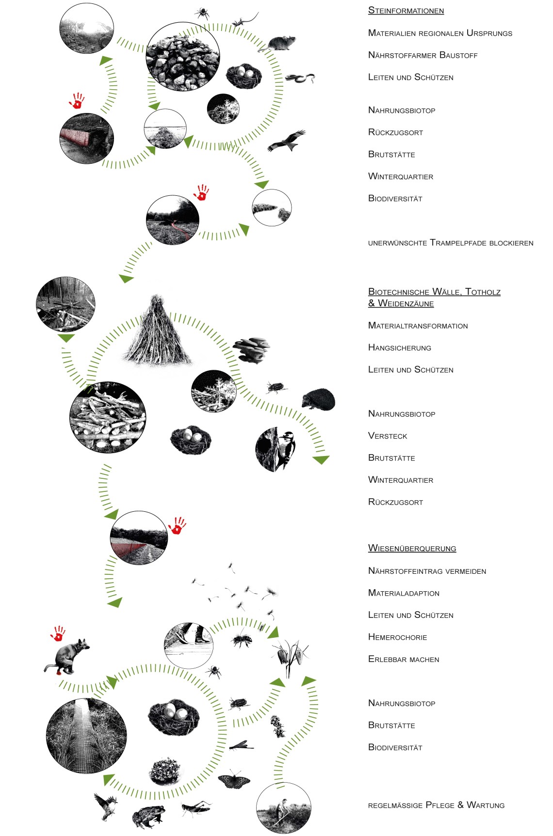 180712_Endpräsi_Sinnlichkeit der Wildnis_Seite_4