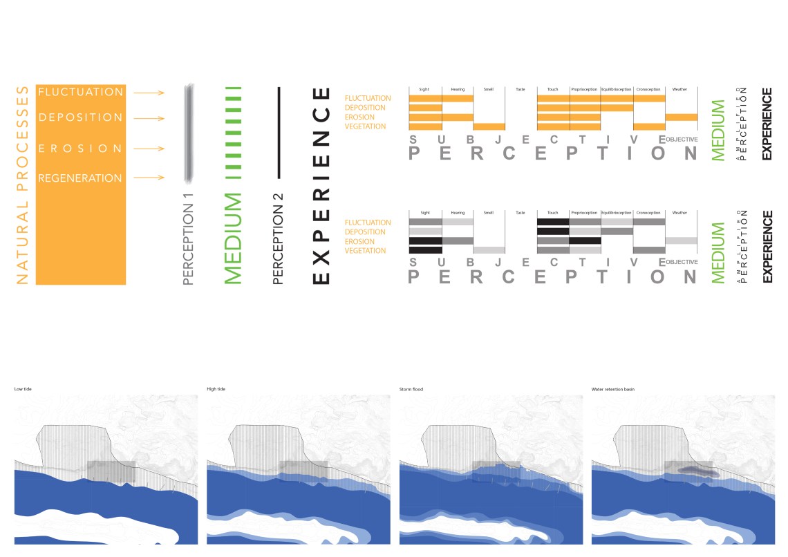 Andra_Margaux_Julia_FinalPres_Grafik3